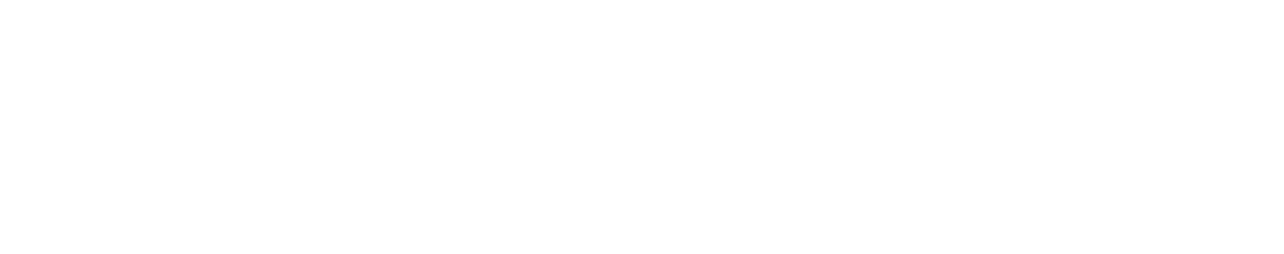 UNSEEN LOGO HORIZONTAL THE UNSEEN