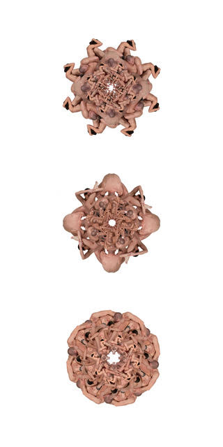 Selina Naouma Papageorgiu